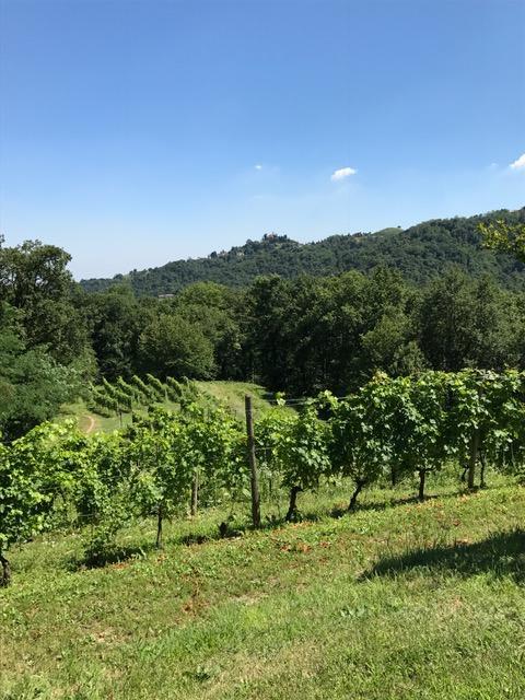 Casa di campagna La Costa *